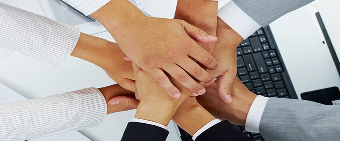 Web Design Expert Team