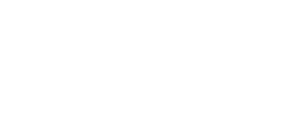 php mysql custom web development